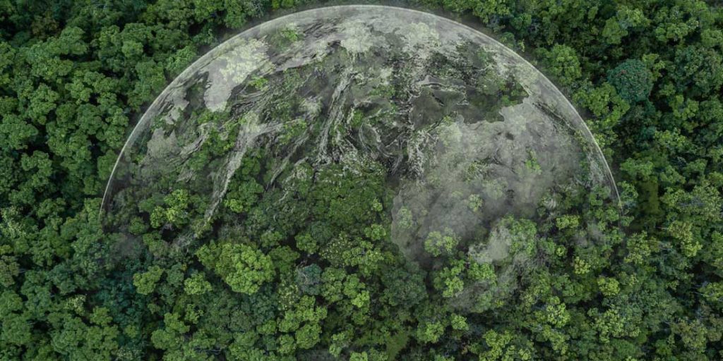 image of the earth overlaid onto an overhead view of a forest