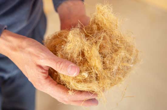 Industrial hemp fibers held in hand, ready to be processed into one of many possible products by Bio Fiber Industries.